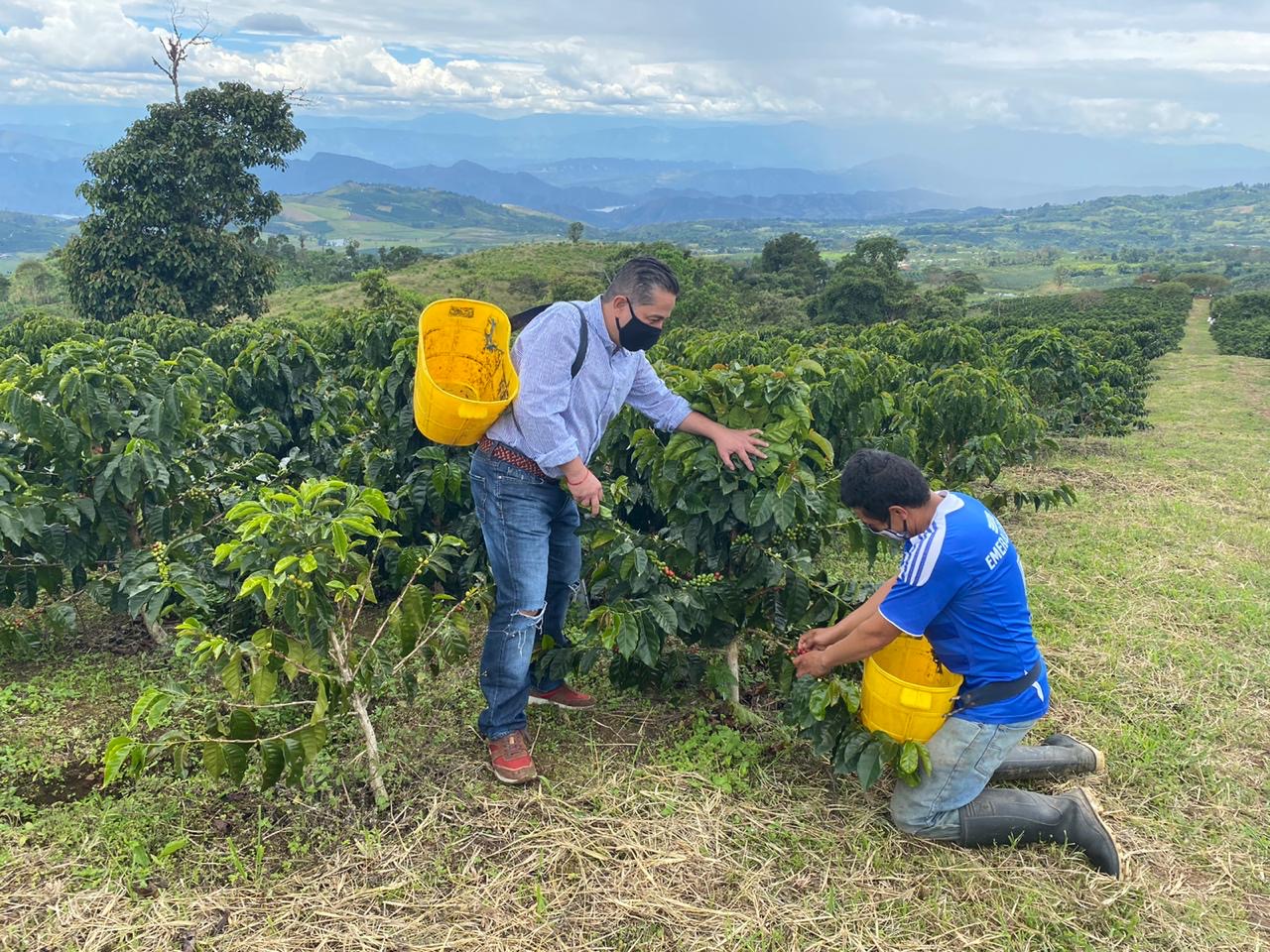 Nos opusimos a la factura electrónica para caficultores